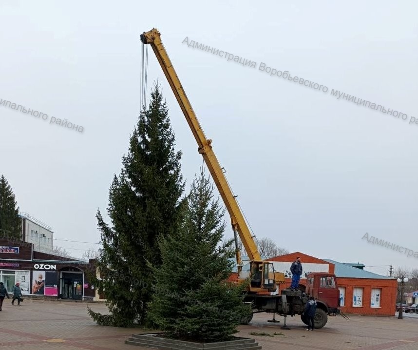 Главную елку района установили на центральной площади села Воробьёвка.