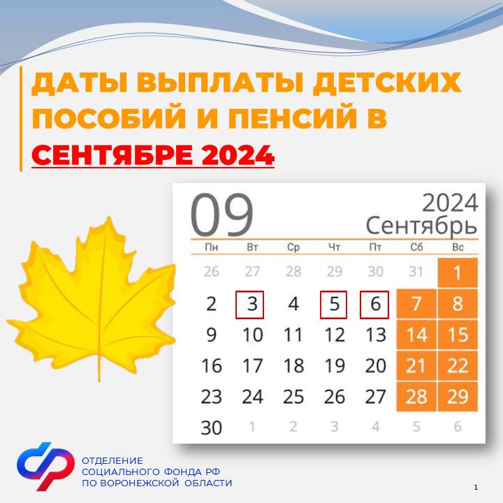 Детские пособия и пенсии в сентябре 2024 года: график выплат в Воронежской области.